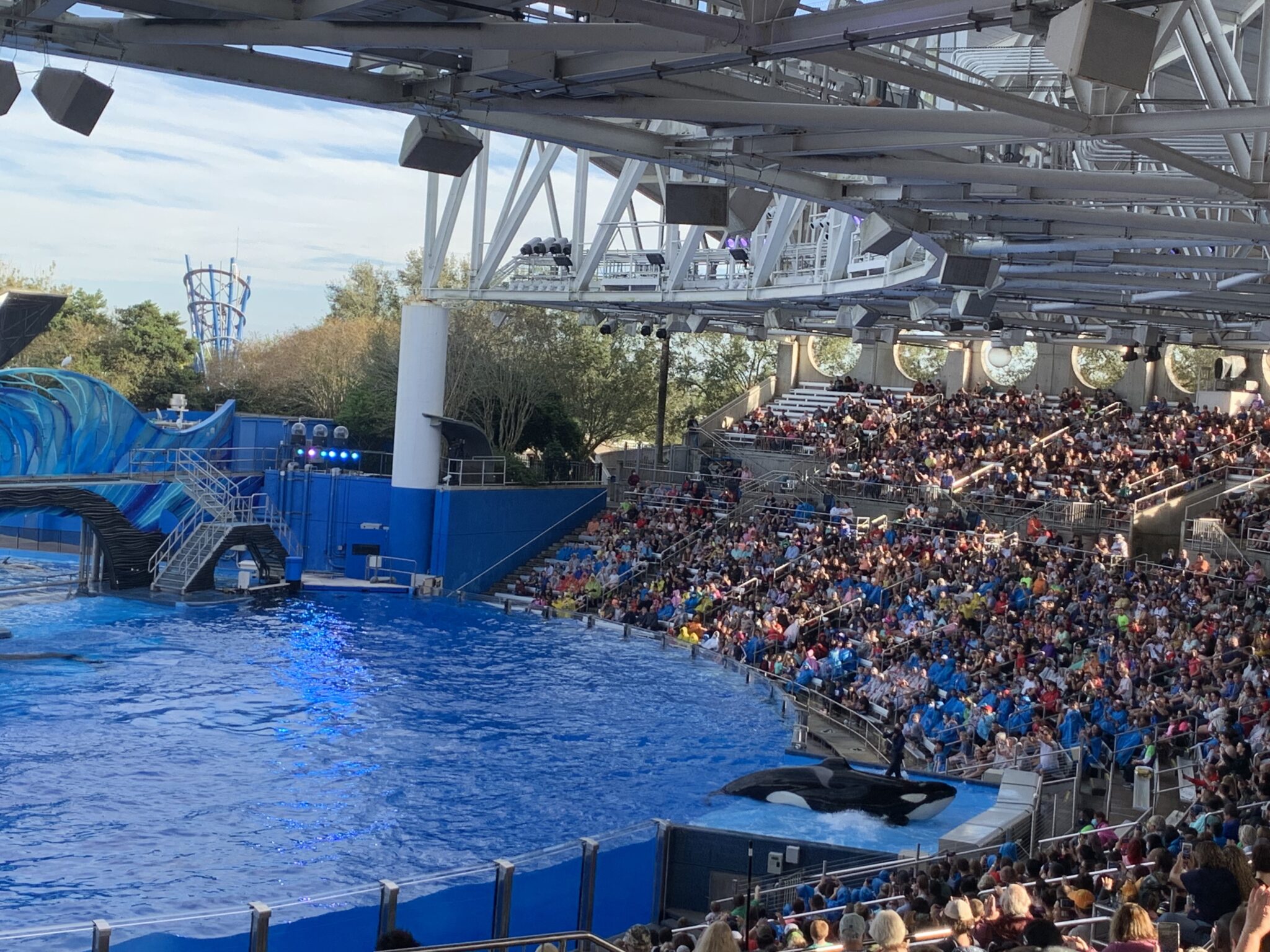 意外とおすすめ！シーワールド・オーランド（SeaWorld Orlando） FUN LIFE CREATOR